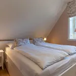 Reetdachhaus Gaia & Ganymed Reetdachhaus Gaia
